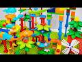 🔥 EPIC LEGO DUPLO Marble Run: Cute Animal Coaster Race Showdown!