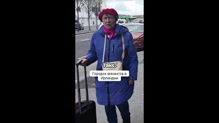 Следы викингов в Ирландии: что оставили после себя легендарные воины?