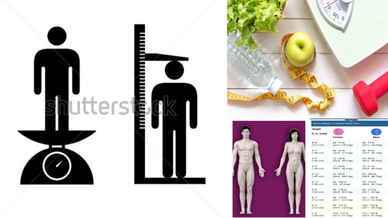 Perfect height and weight chart for men and women
