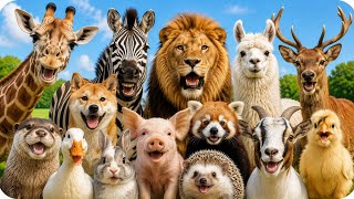 Animal Sound For kids🐫🐄🦮|Learn real sound ; Cow, Pig, Cat, Dog