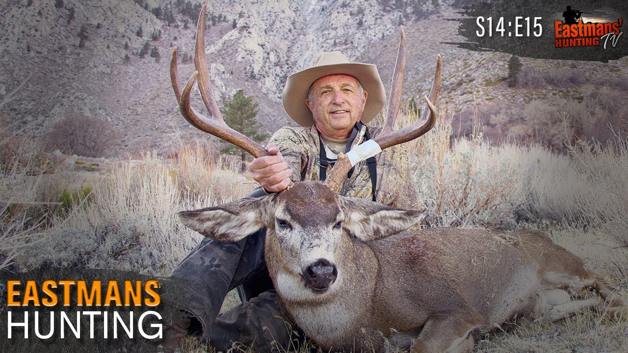 California Mule Deer (Eastmans' Hunting Journals) YouTube