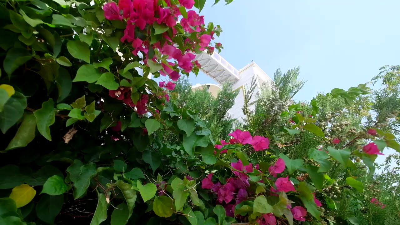 Golden Orange Hotel   Antalya   TURKEY