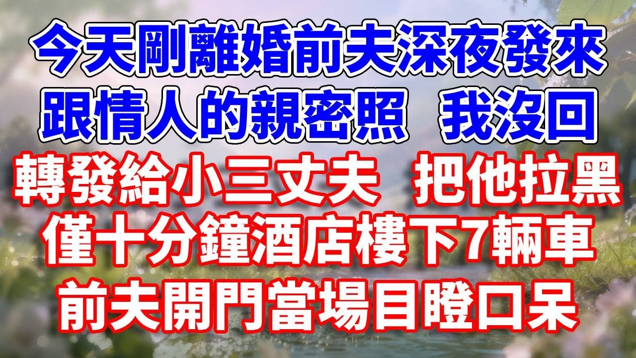 今天剛離婚前夫深夜發來跟情人的親密照 ，我沒回轉發給小三丈夫 把他拉黑 ，僅十分鐘酒店樓下7輛車 ，前夫開門當場目瞪口呆#完結 #情感故事 #一口氣看完 #為人處世