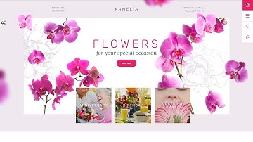 Kamelia PrestaShop Theme by WT Website Template - 57810