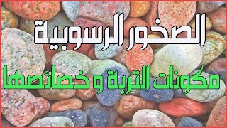 سلسلة تمارين علوم الحياة والأرض سابعة أساسي