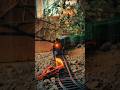 CAR GOT STUCK, CAUGHT FIRE, AND THEN GOT HIT BY TRAIN #train #experiment #shorts