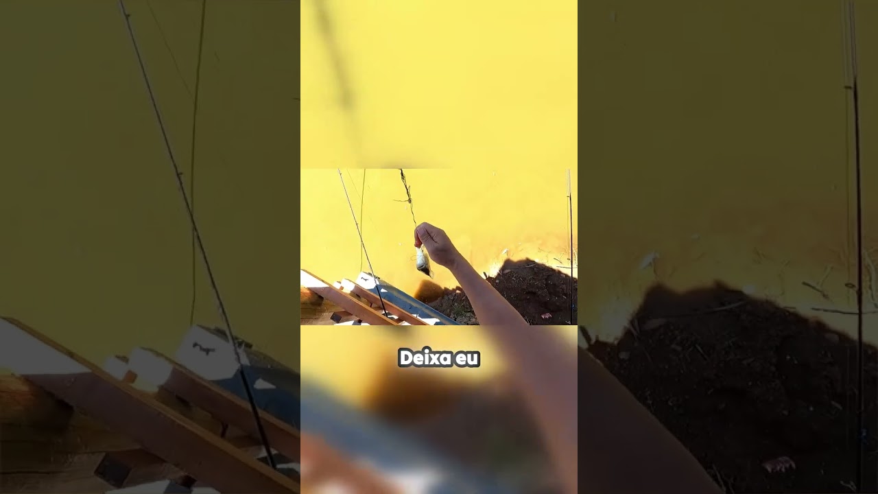 Linha enrolada, peixe forte! A luta real na represa!