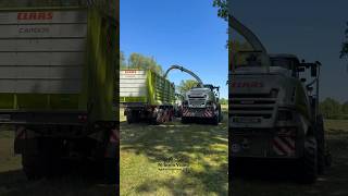 Perfekte Silageernte mit CLAAS Jaguar 970 und Fendt 724, 728 & 828 Grasernte Häckseln