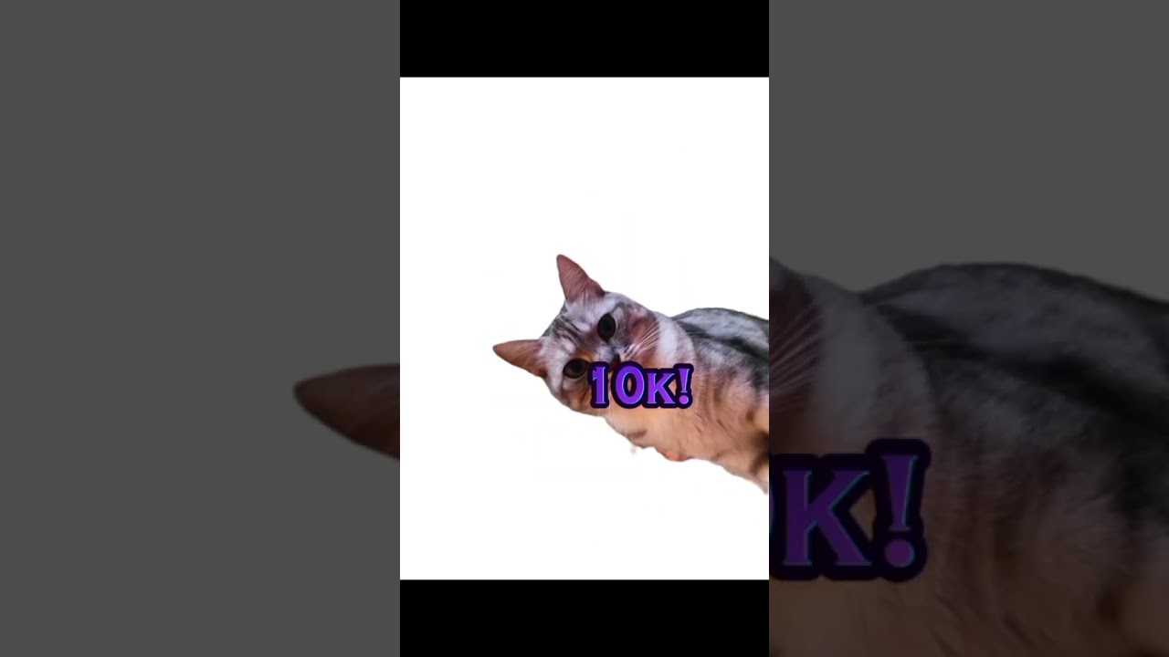 я сейчас у бабушки Тасю не могу снимать 