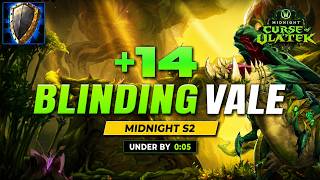 +14 Blinding Vale | Prot Warrior PoV | WoW Midnight Season 2