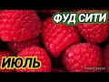 ФУД СИТИ!!!🍓 ЯГОДЫ 🍉ОВОЩИ И ФРУКТЫ 🍎 МОСКВА 🍓