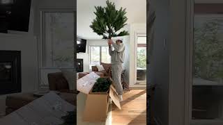 Setting Up My First Christmas Tree #Shorts