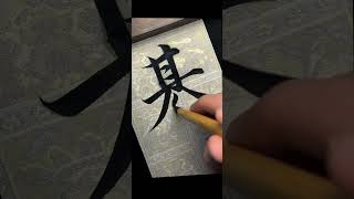 近距离感受赵体书法～ #书法 #赵孟頫 #楷书 #写字是一种生活 #dou来秀书法