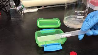 IMMUNODETECTION