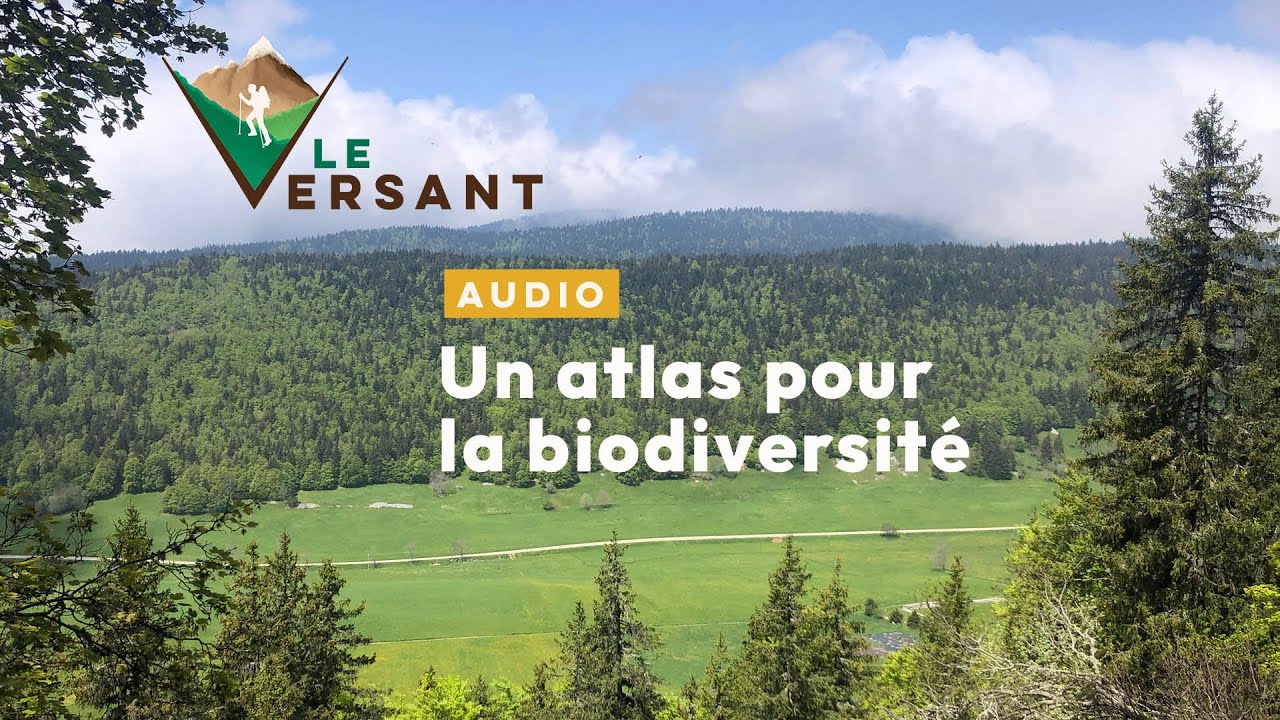 Un atlas pour la biodiversité [LE VERSANT MEDIA] - Audio - YouTube