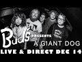 Capture de la vidéo A Giant Dog - Live And Direct From Bud's