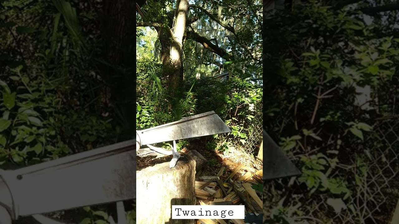 Chopper vs Deer Antler 