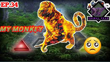 Fallen Demonic Mesopithecus 😭 O No🥺 !! Ark Primal Fear, Ark Survival Evolved EP.34