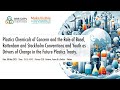 Plastics Chemicals of Concern: Role of BRS &amp; Youth as Drivers of Change in Plastics Treaty
