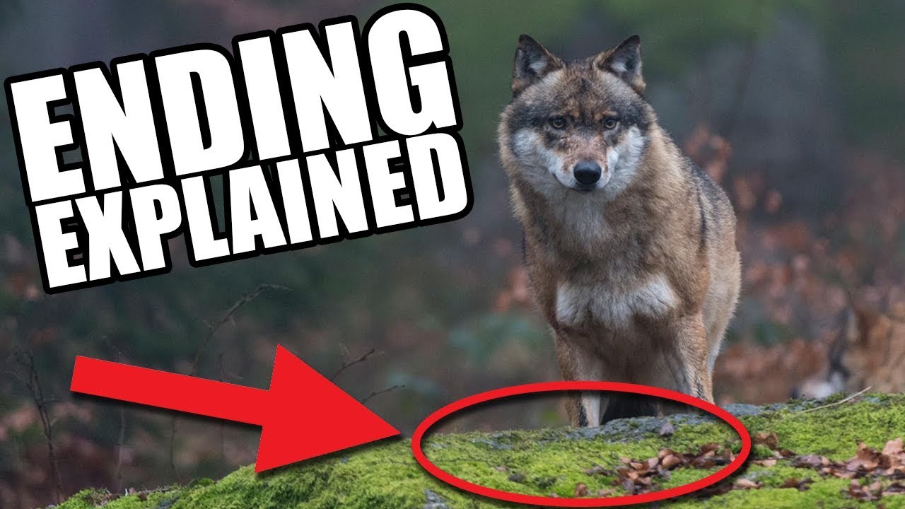 The Boy Who Cried Wolf ENDING EXPLAINED Ball Pit Ep 8 YouTube