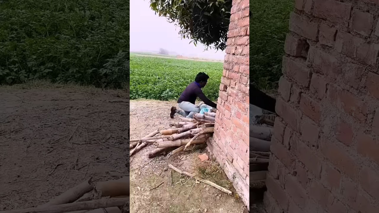 ducking save seriously injured cat 