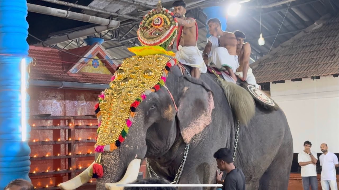Kadalai Temple festival | Kerala temple festival | Kerala Elephant | kadalayi sree krishna temple 
