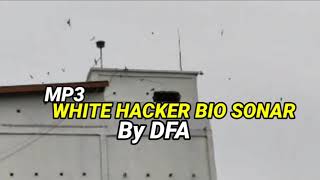 SUARA WALET PALING DI CARI (BIO SONAR By DFA )