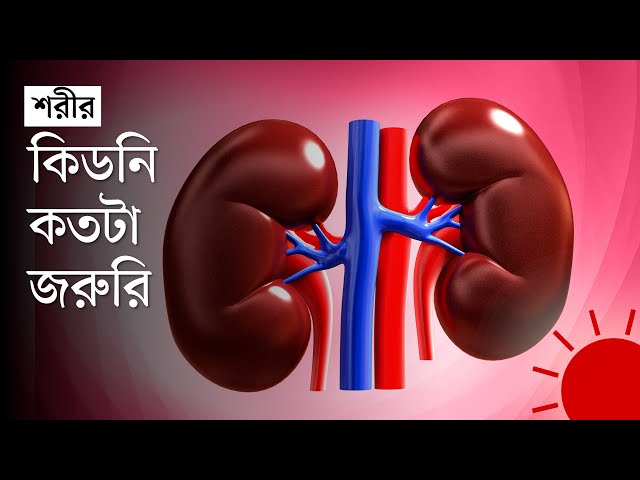 Ular semiz ayollarni yechib, ular bilan jinsiy aloqada bolishadi Porno film turlari