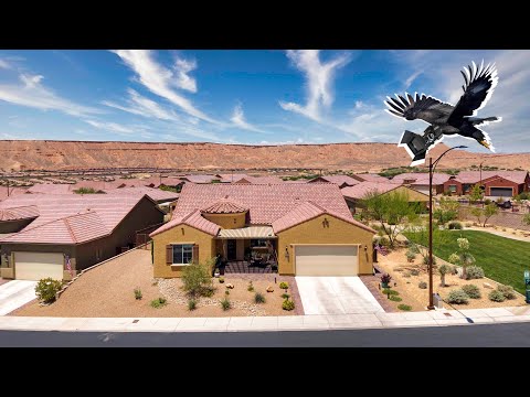 1143 Tortoise Mountain Dr, Mesquite, NV home video tour