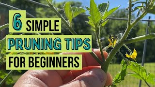 6 SIMPLE Pruning Tips (for BEGINNERS) Wealth