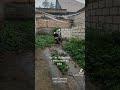 NYUMBA BANDA INAUZWA FUONI CHUNGA Unguja Zanzibar Bei Tsh 17 Million Kumi Na Saba 0653007438 