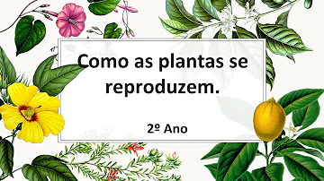 Como as plantas se reproduzem 2 ano?