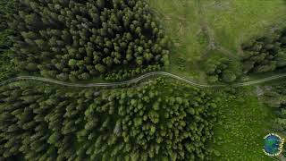 Hilari Henriques | Daily Devotional | Our Daily Bread | 1/5/2024