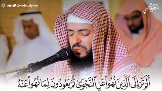 القارئ وديع اليمني - سورة المجادلة - من الآية 8 إلى الآية 10