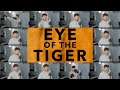 Eye of the Tiger (ACAPELLA) - Survivor
