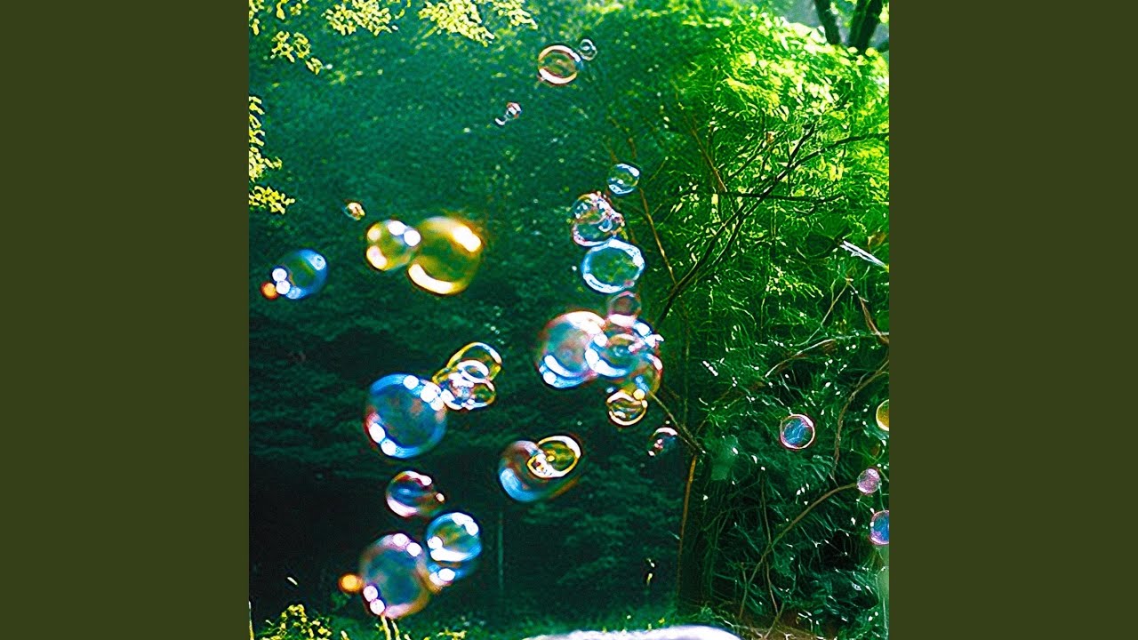 Shy Love, Bright Sky