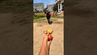 Meri gaiya aati hai mujhko doodh pilati hai #merigaiyaaatihai #cowvideos ##gaiyamerigaiya #cow #cows