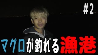 マグロが釣れる漁港で大物を狙う #2 【ミジュン釣り】