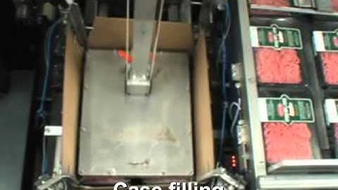 Lantech Case Packer Sealed Trays and cups Video Frozen food thermoformed Carton