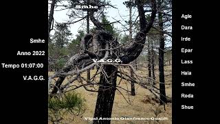 Smhe Album- Musica Elettronica New Age Evocativa 2022- V.A.G.G. Vipal Antonio Gianfranco Gualdi
