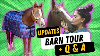 BARN TOUR UPDATE + CONTROVERSIAL QUESTIONS...