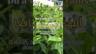 اللَّهُمَّ صَيِّبًا نَافِعًا        O Allah, (make it) a beneficial rain.