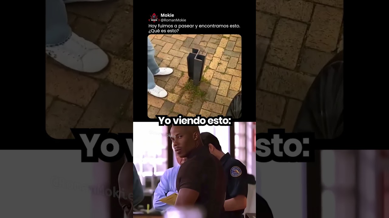 #catmemes