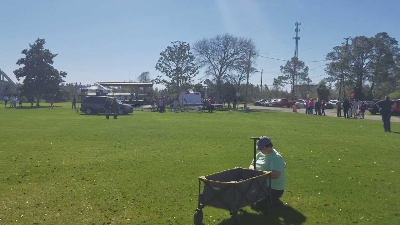 The Riverwalk Arts Festival draws in a large crowd YouTube