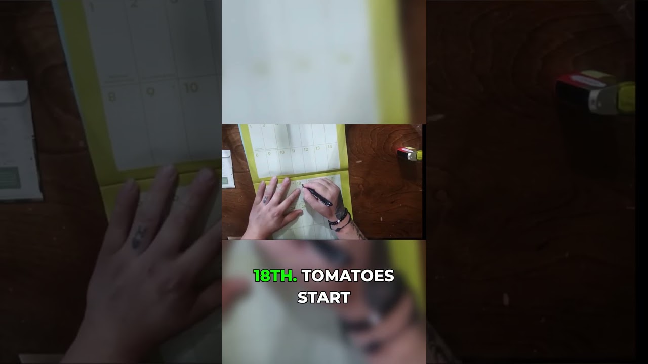 Tomato Seed Starting & Up-Potting: Don't Make This Mistake!