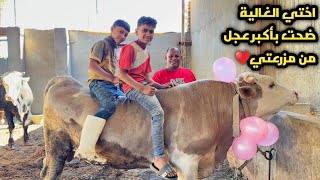 اختي الغالية ضحت بأكبر واغلي عجل في مزرعتنا♥️العودة من بعد الغياب ورجعنالكم بكل المفاجأت🎉💃