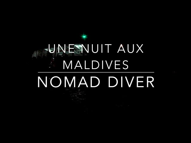 plongée de nuit aux Maldives volume 2 by Nomad Diver
