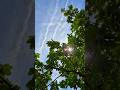 Nature ❤️‍🩹🍃 #nature #sky #shorts #ytshorts #viral