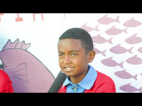 Tapha Ijoollee Chichoo