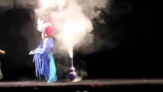 The Nutcracker 2011 at Dallas Children's Theater